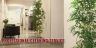 citi_brand_mobile2